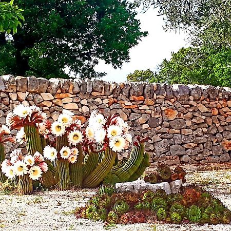 Casa Relax Isabelle Bed and Breakfast Alberobello Exterior foto